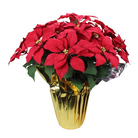 Fake Poinsettia 